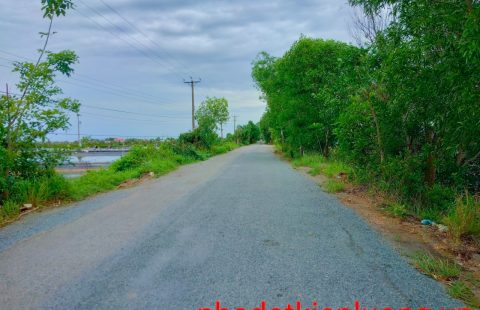 ĐẤT RỪNG SẢN XUẤT MẶT TIỀN, ẤP NGÃ TƯ DƯƠNG HÒA DIỆN TÍCH LỚN.