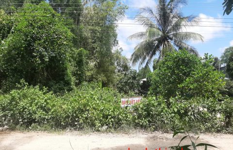 NỀN ĐẤT GIÁ RẺ KÊNH TÁM THƯỚC DIỆN TÍCH LỚN.