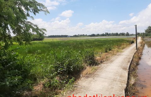 NỀN ĐẤT 2 MẶT TIỀN GIÁ RẺ GẦN HỒ NƯỚC NGỌT DIỆN TÍCH LỚN.