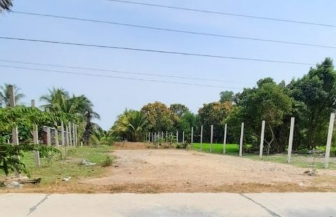 NỀN ĐẸP GẦN HỒ NƯỚC NGỌT, ĐÃ ĐỖ NỀN PHẲNG NỞ HẬU.