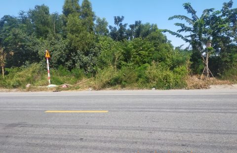 NỀN ĐẤT MẶT TIỀN ĐƯỜNG TỈNH LỘ 11 DIỆN TÍCH LỚN.