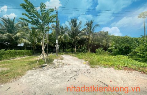 NỀN ĐẤT MẶT TIỀN ĐƯỜNG QL80, ẤP LUNG LỚN, TT KIÊN LƯƠNG, DIỆN TÍCH LỚN