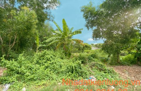 BÁN ĐẤT KDC HÒA LẬP CÁCH CÔNG VIÊN BA HÒN CHỈ 100M - FULL THỔ CƯ