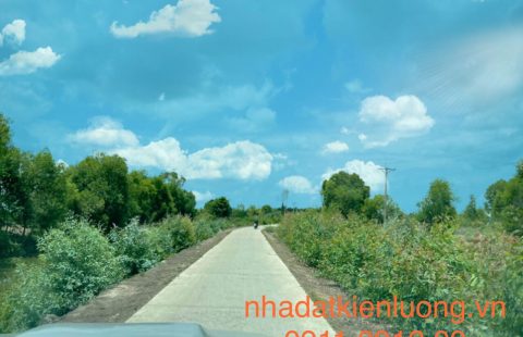 CHÍNH CHỦ BÁN NHANH HƠN 31.000M² THUỘC XÃ PHÚ LỢI - GIÁ KHÔNG PHANH!!