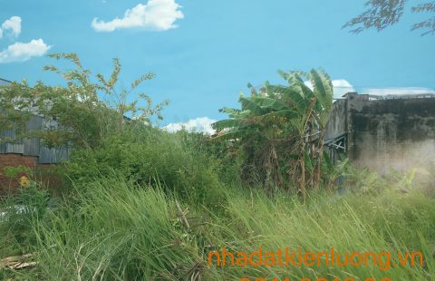 BÁN ĐẤT KDC HÒA LẬP - VỊ TRÍ ĐẸP, GIÁ ĐẦU TƯ, PHÁP LÝ ĐẦY ĐỦ