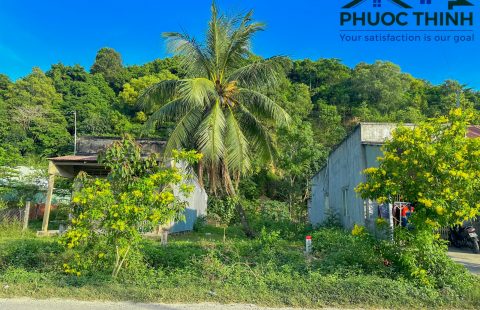 BÁN ĐẤT MẶT TIỀN ĐƯỜNG RẠCH ĐÙNG BÌNH TRỊ - GIÁ RẺ