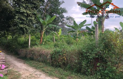 BÁN ĐẤT ẤP HÒN CHÔNG – GẦN NGÃ BA BÌNH AN - GIÁ ĐẦU TƯ