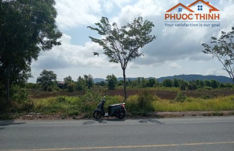 BÁN GẤP HƠN 30 CÔNG ĐẤT NTTS - NGAY ĐƯỜNG 11 - XÃ BÌNH AN - GIÁ ĐẦU TƯ !