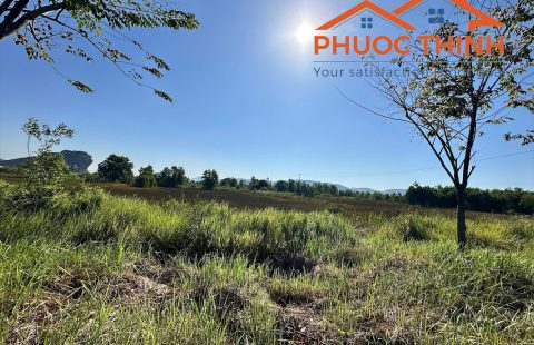 BÁN GẤP HƠN 30 CÔNG ĐẤT NTTS - NGAY ĐƯỜNG 11 - XÃ BÌNH AN - GIÁ ĐẦU TƯ !