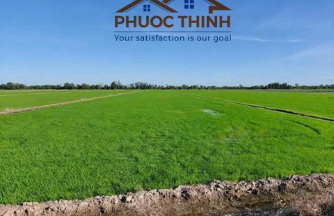 BÁN ĐẤT NUÔI TRỒNG THỦY SẢN - ẤP RẠCH ĐÙNG, XÃ BÌNH TRỊ ( GẦN MỎ ĐÁ TRÀ ĐUỐC LỚN )