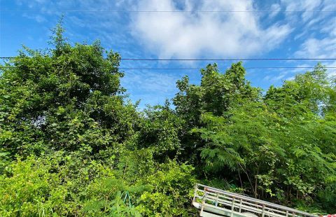 BÁN ĐẤT GIÁ RẺ ĐƯỜNG NÚI NAI XÀ NGÁCH