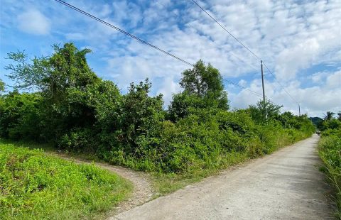 BÁN ĐẤT ĐƯỜNG NÚI NAI XÀ NGÁCH - GIÁ TỐT