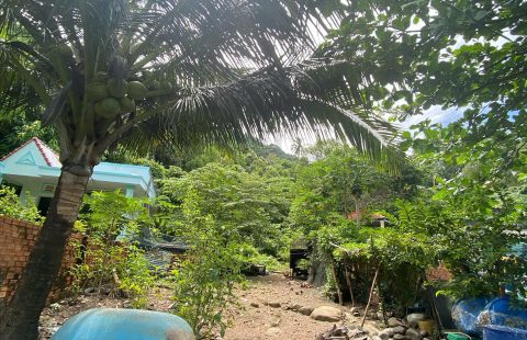 BÁN ĐẤT HÒN NGHỆ -THÍCH HỢP ĐẦU TƯ NGHỈ DƯỠNG