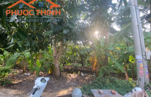 BÁN ĐẤT VƯỜN HẺM KP LÒ BOM - KIÊN LƯƠNG GIÁ TỐT